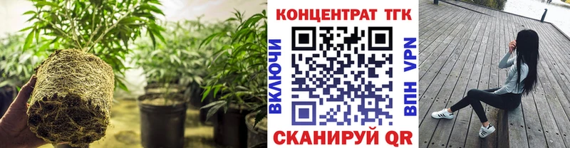 магазин    KRAKEN рабочий сайт  ТГК THC oil  Амурск 