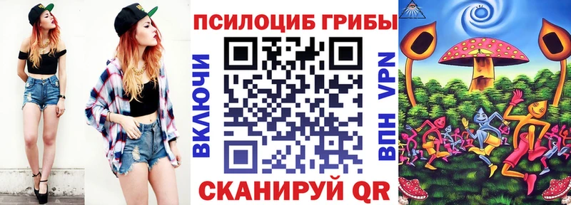 Галлюциногенные грибы Psilocybe  Амурск 